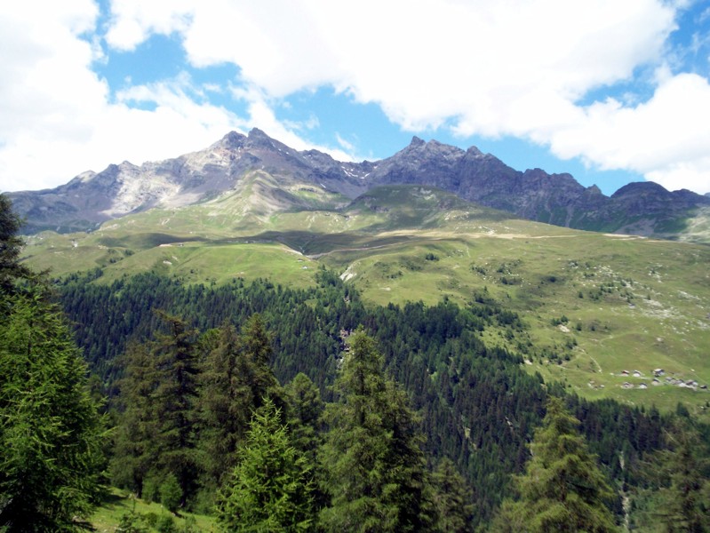 Val Febbraro