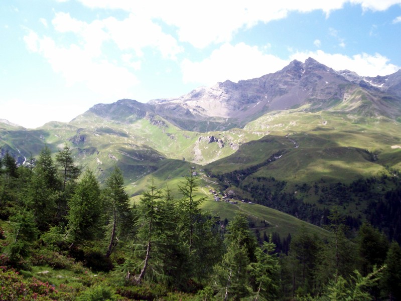 Val Febbraro