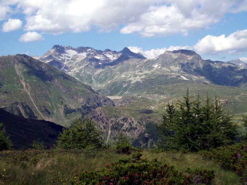 Val Febbraro
