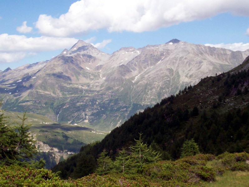 Val Febbraro
