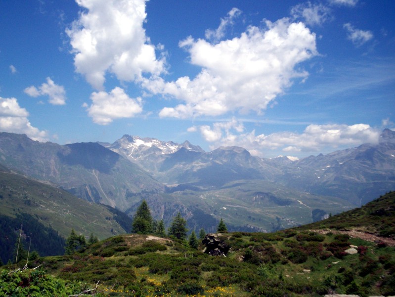 Val Febbraro