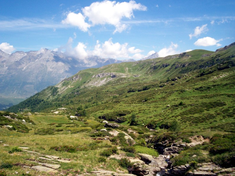 Val Febbraro