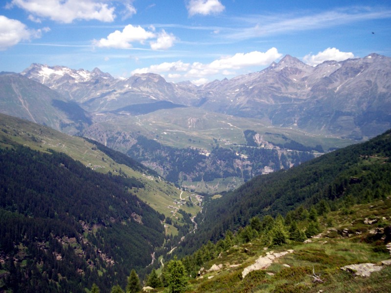 Val Febbraro