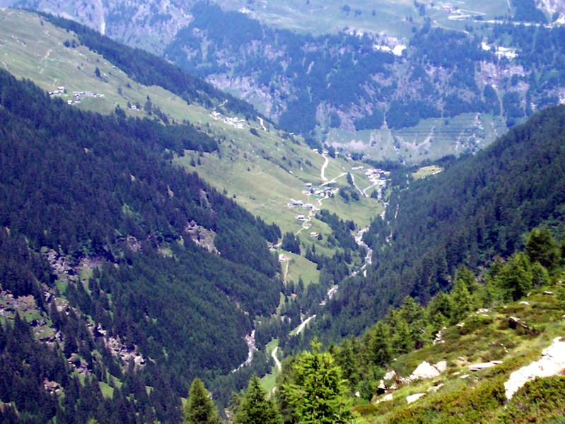 Val Febbraro