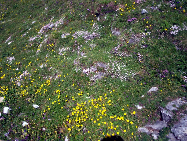 Valle di Starleggia e Pian dei Cavalli