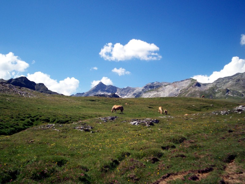 Valle di Starleggia e Pian dei Cavalli