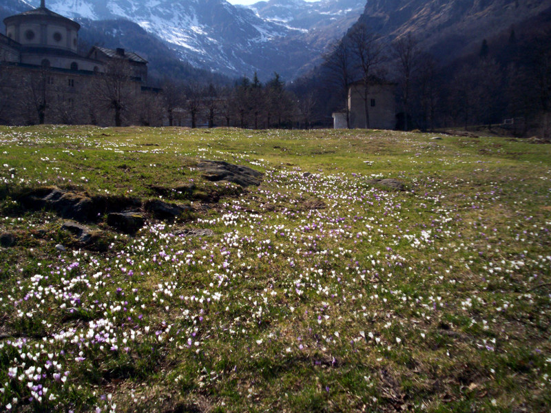 La prima volta che vidi il Mucrone