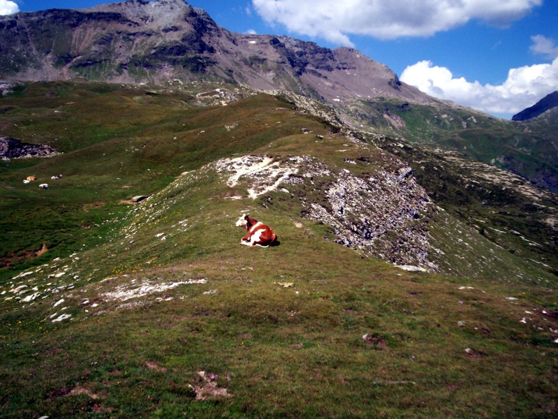 Valle di Starleggia e Pian dei Cavalli