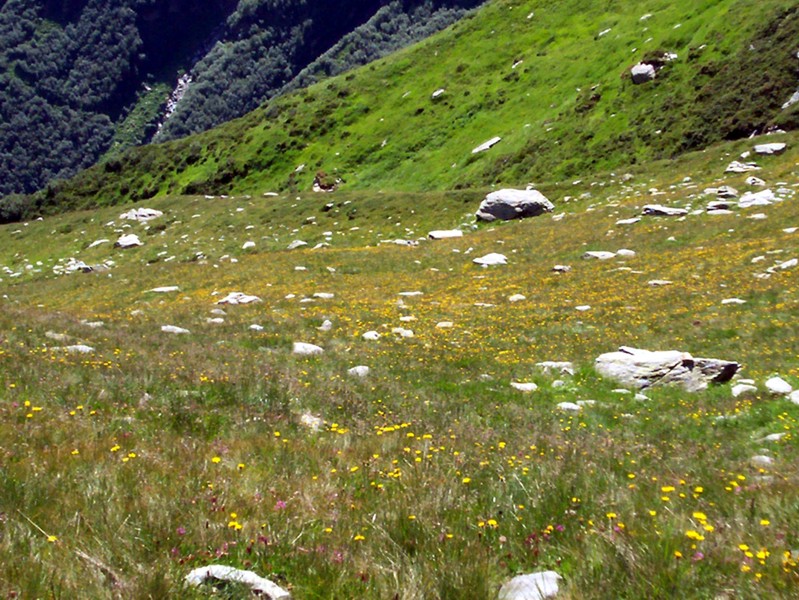 Passo del Baldiscio (alta Val febbraro)