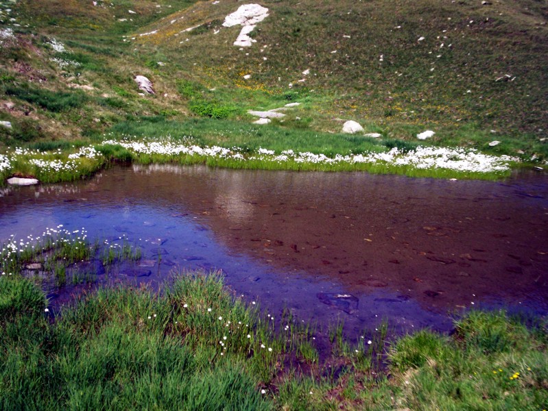 Passo del Baldiscio (alta Val febbraro)