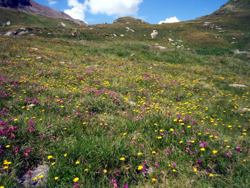 Passo del Baldiscio (alta Val febbraro)