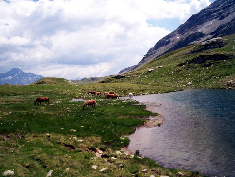 Passo del Baldiscio (alta Val febbraro)