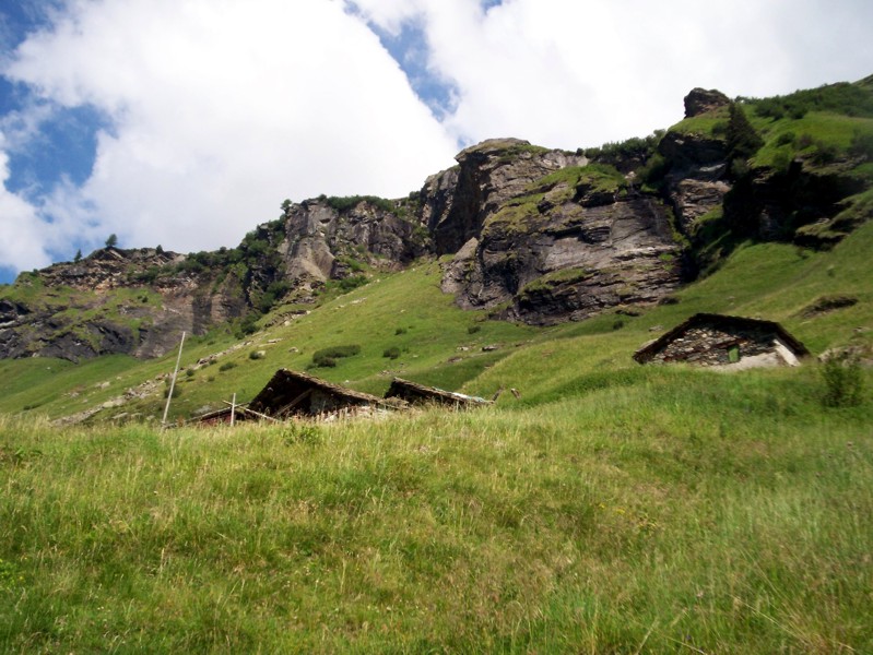 Val Febbraro