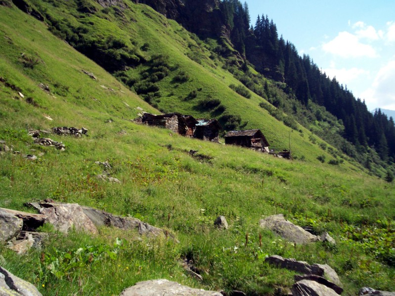 Val Febbraro
