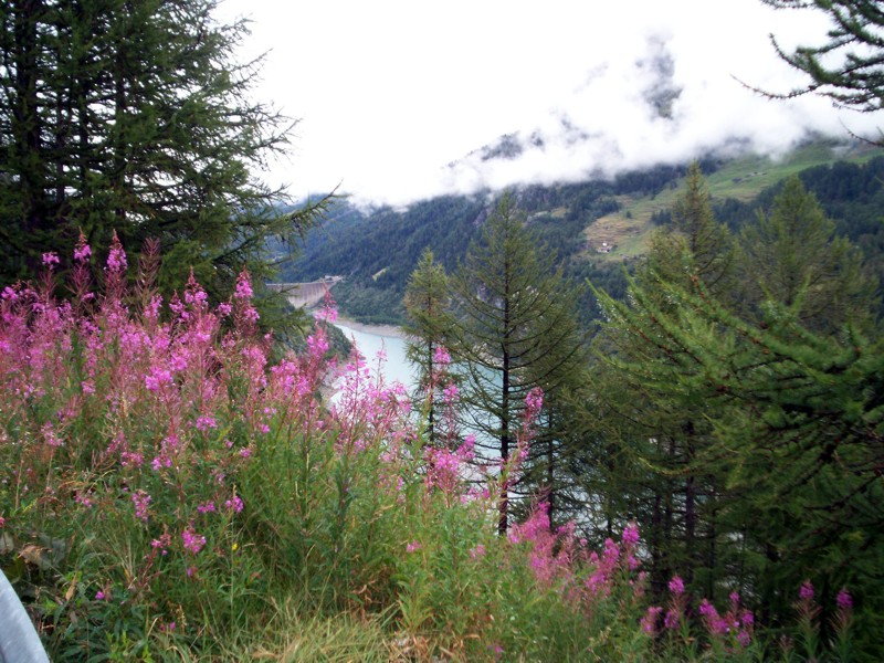 Laghi......della VALLE D''AOSTA