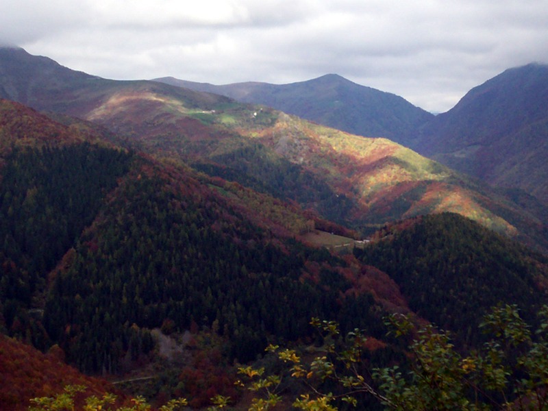 Carrellata di foto - Valle Cervo