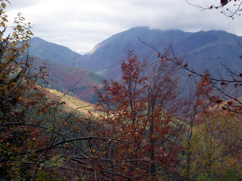 Carrellata di foto - Valle Cervo