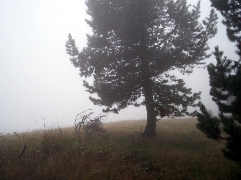 Carrellata di foto - Valle Cervo