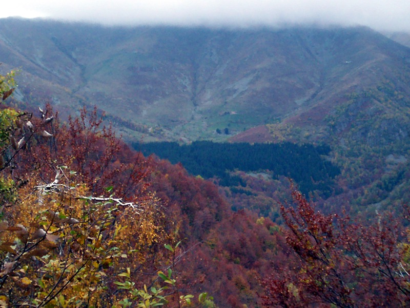 Carrellata di foto - Valle Cervo