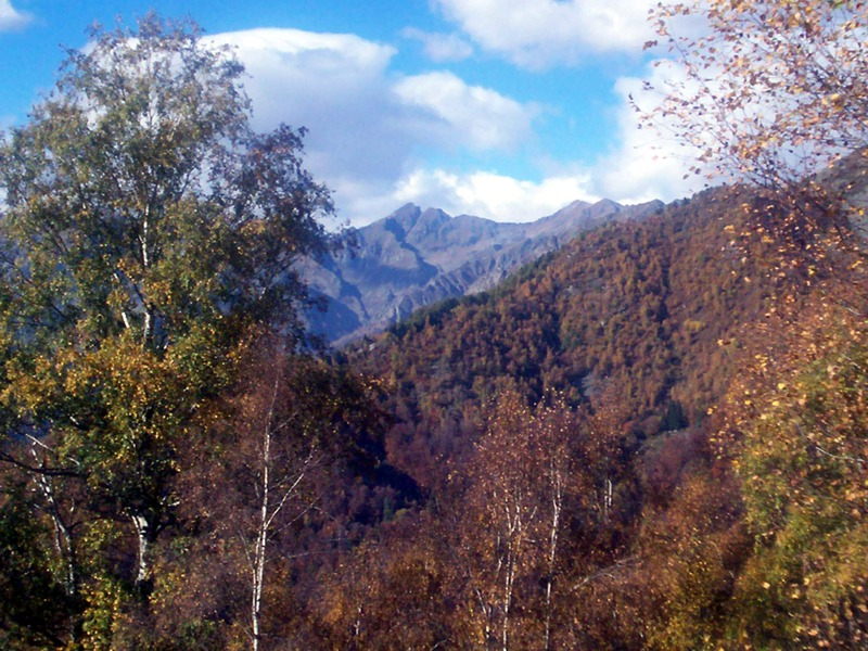 Carrellata di foto - Valle Cervo