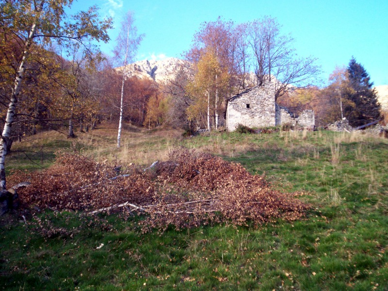 Tabià
