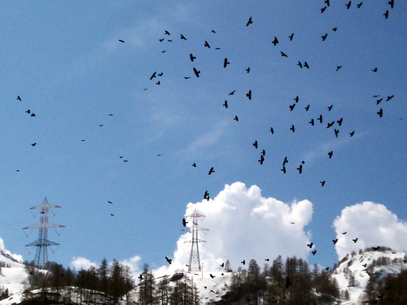 La Thuile - Valle d''Aosta