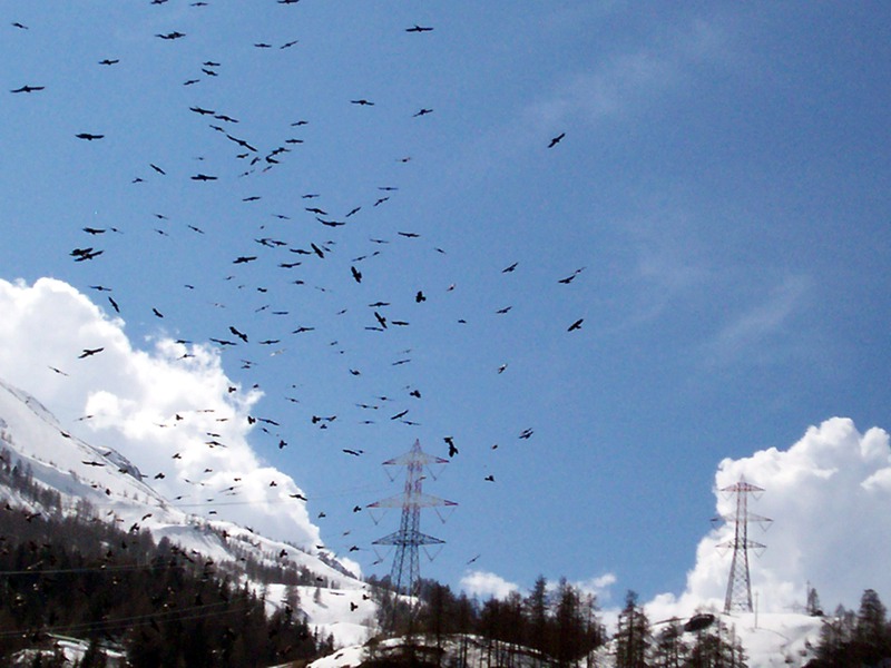 La Thuile - Valle d''Aosta