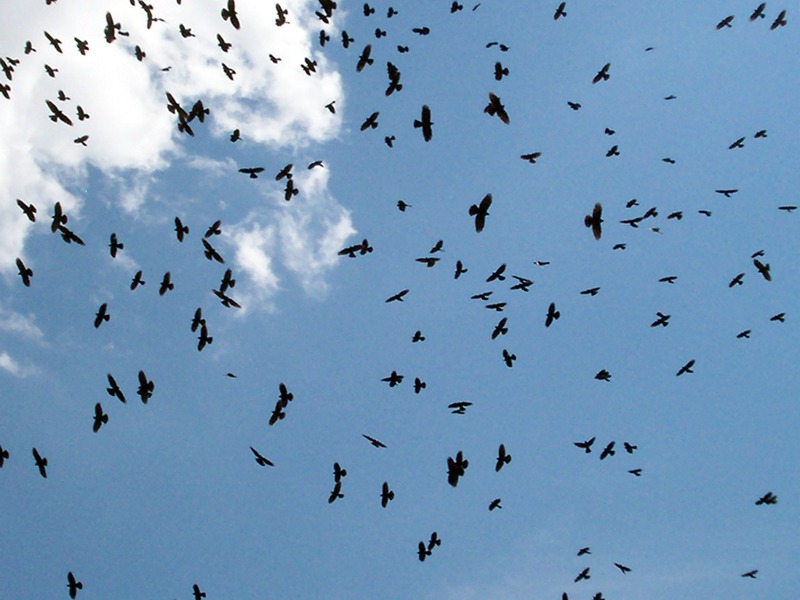 La Thuile - Valle d''Aosta