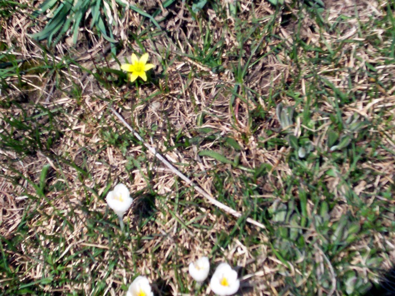 La Thuile - Valle d''Aosta