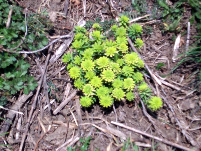La Thuile - Valle d''Aosta