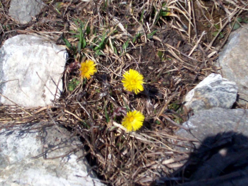 La Thuile - Valle d''Aosta