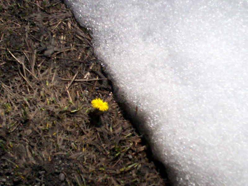 La Thuile - Valle d''Aosta