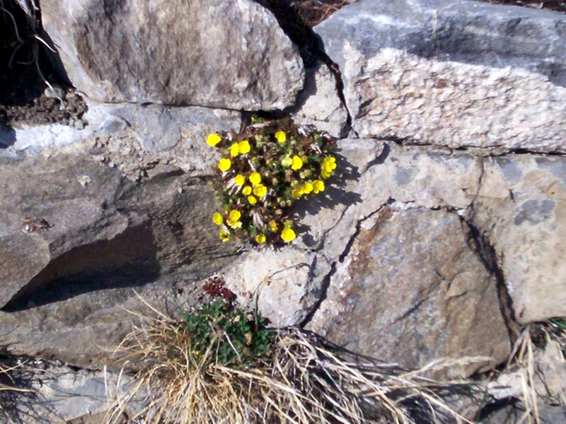 La Thuile - Valle d''Aosta