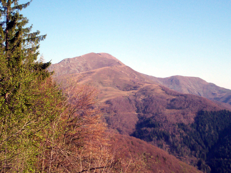 Ciam dell''Asnass...ops Punta Scalino