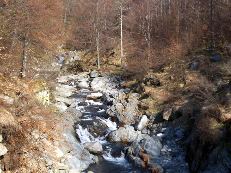 Torrente Sessera