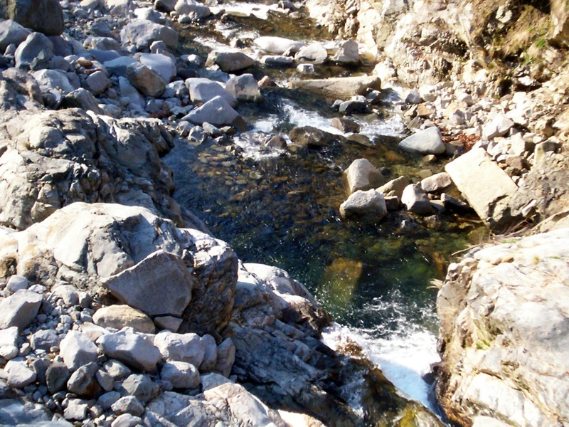 Torrente Sessera