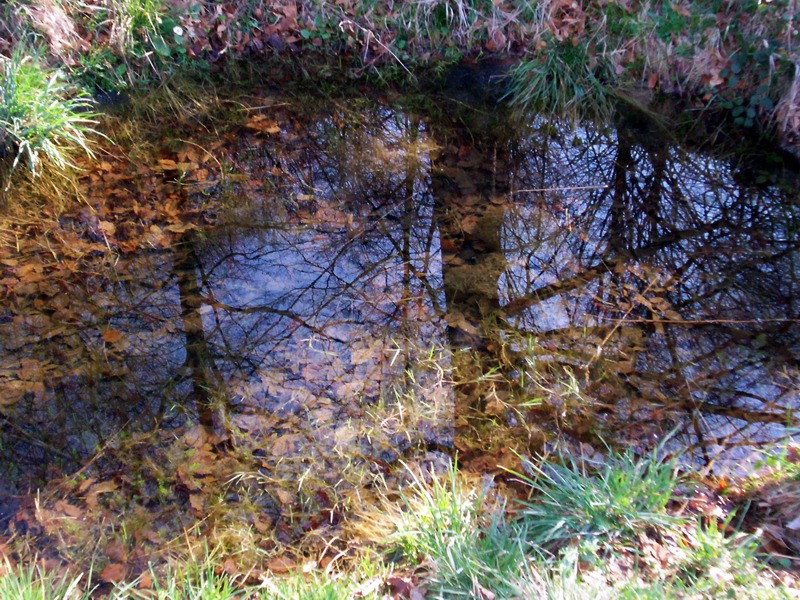 Torrente Sessera