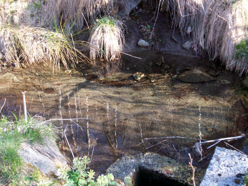 Torrente Sessera