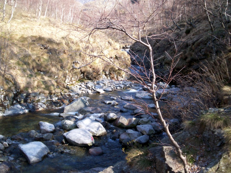 Torrente Sessera