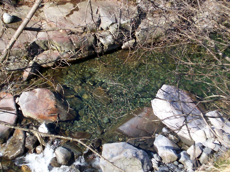 Torrente Sessera