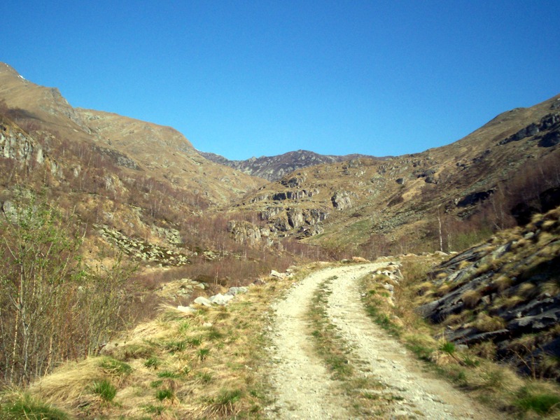 Ciam dell''Asnass...ops Punta Scalino