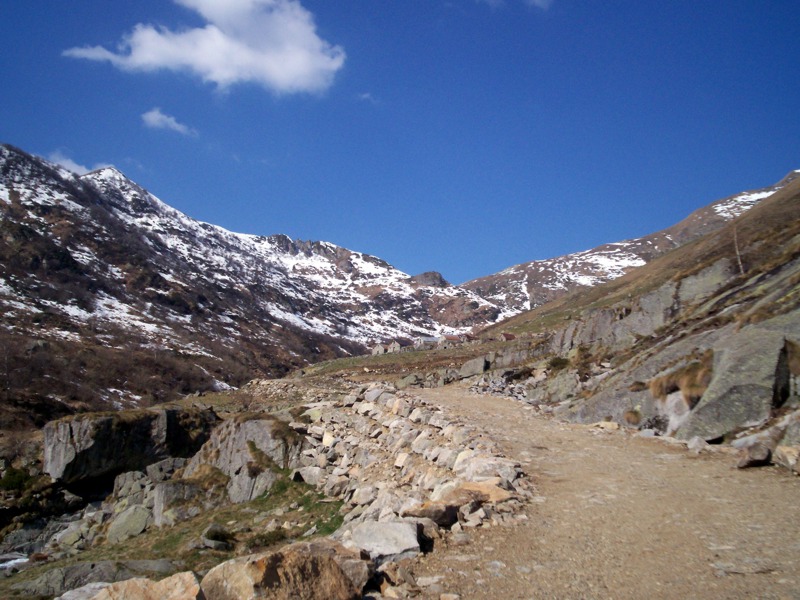 Ciam dell''Asnass...ops Punta Scalino