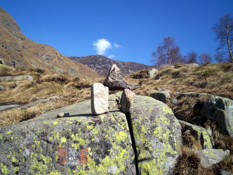 Ciam dell''Asnass...ops Punta Scalino