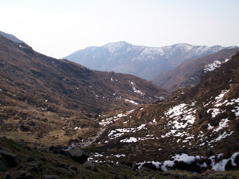 Ciam dell''Asnass...ops Punta Scalino