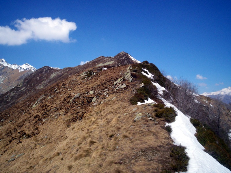 Ciam dell''Asnass...ops Punta Scalino