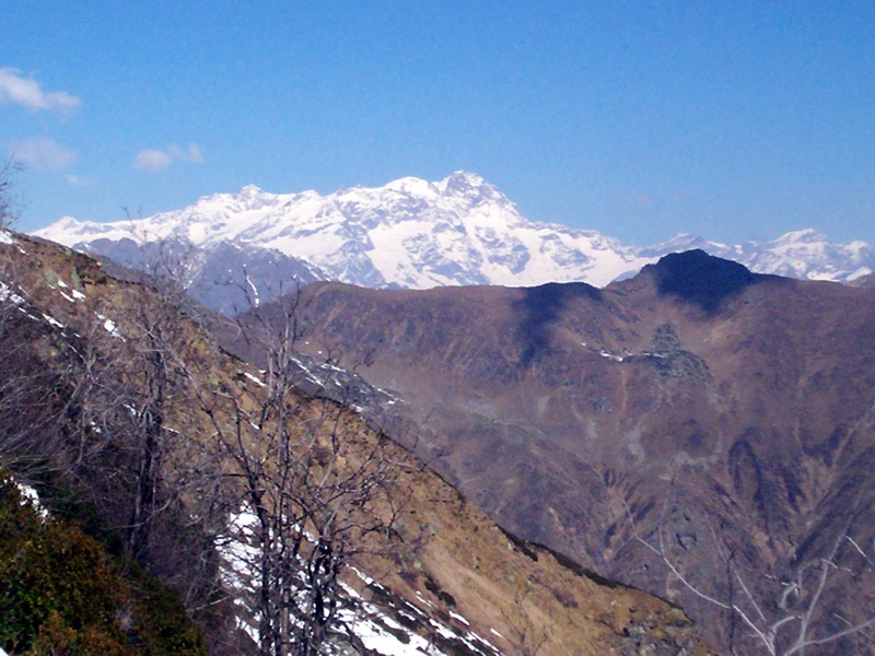 Ciam dell''Asnass...ops Punta Scalino