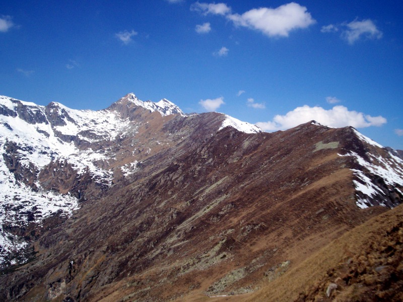 Ciam dell''Asnass...ops Punta Scalino