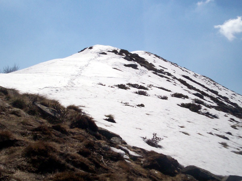 Ciam dell''Asnass...ops Punta Scalino