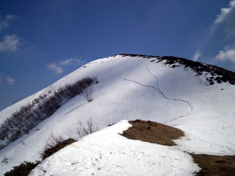 Ciam dell''Asnass...ops Punta Scalino