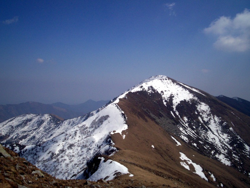 Ciam dell''Asnass...ops Punta Scalino